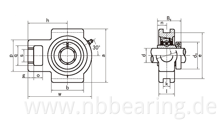 Bearing Units NCT200 Series